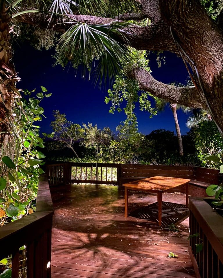 landscape lighting installation Palm Beach Gardens FL