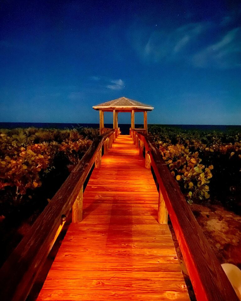 landscape lighting service